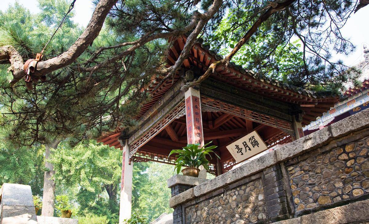 泰山南一盆景式花园，常被旅客忽略，内有稀世瑰宝已逾600年