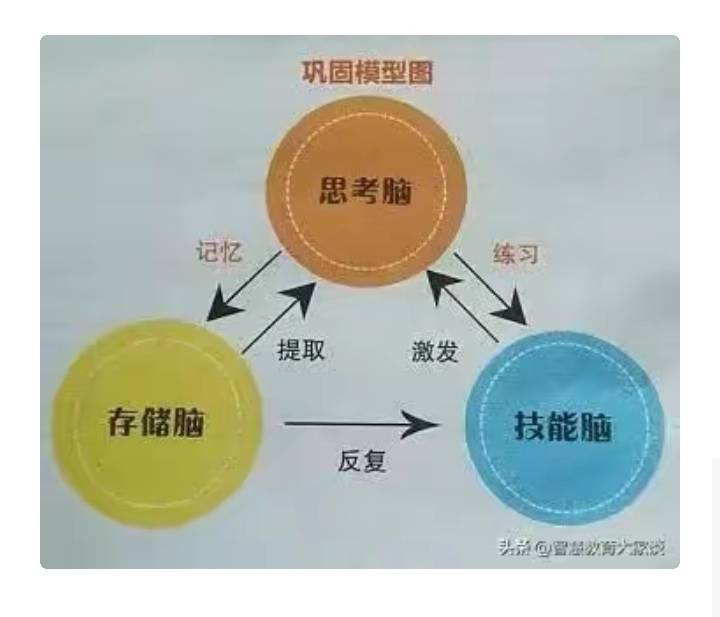 语文认知学|语文真的是难教和难学吗？  初中作文 第5张