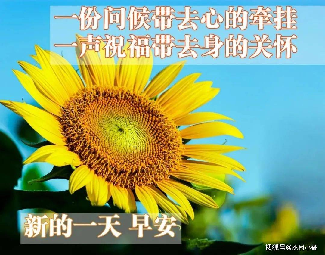 1月18日早上好伴侣，2023最新晨安问候祝愿图片精选，微信最美的早上好祝愿