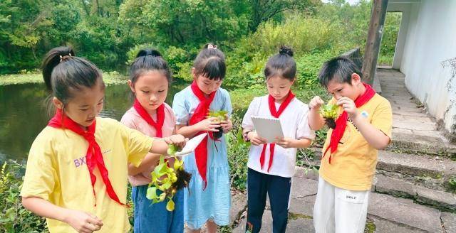 杭州市保俶塔尝试学校学生停止西溪湿地动物大查询拜访