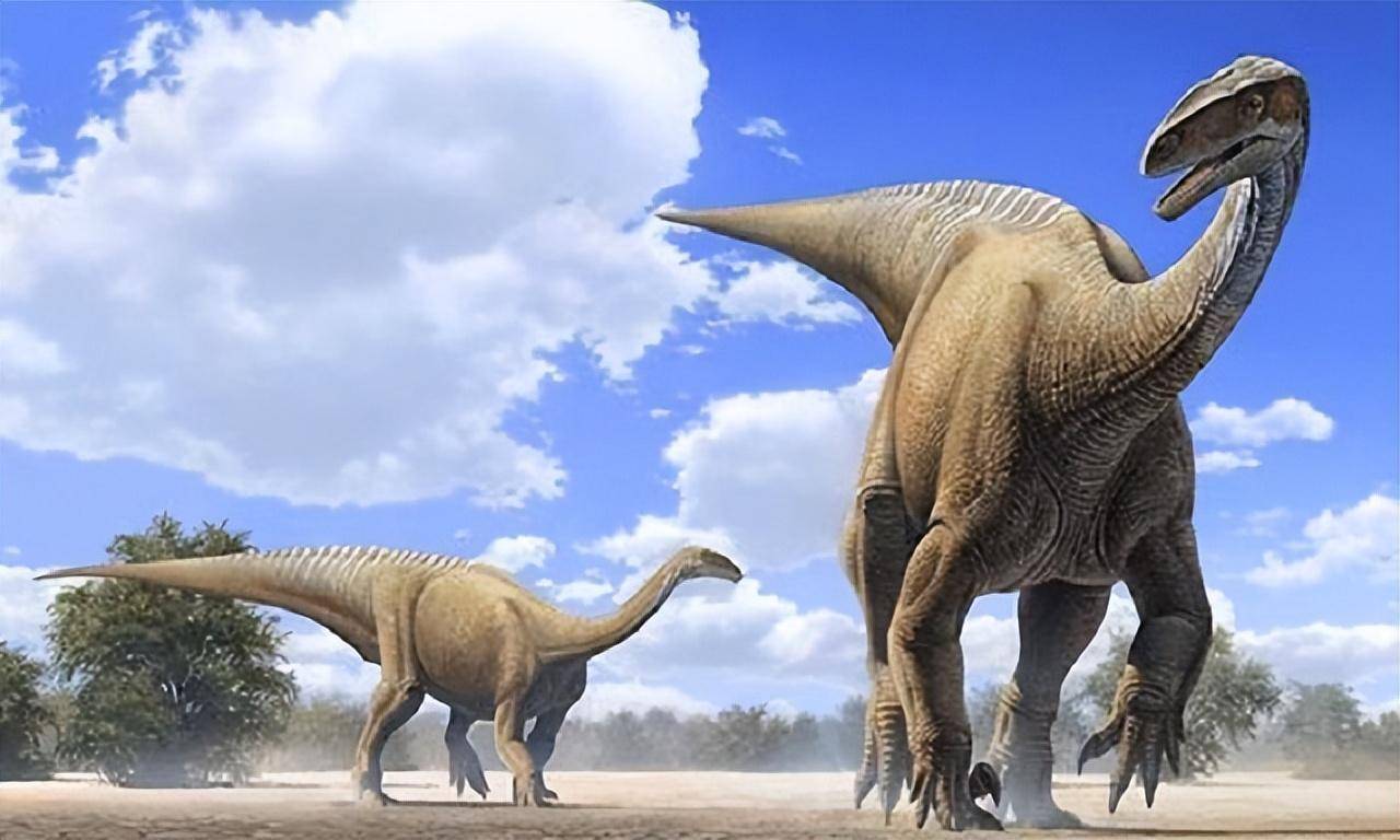 原创
            世界上体型最大的十种动物，你知道几种？最后一种舌头重达两吨插图12