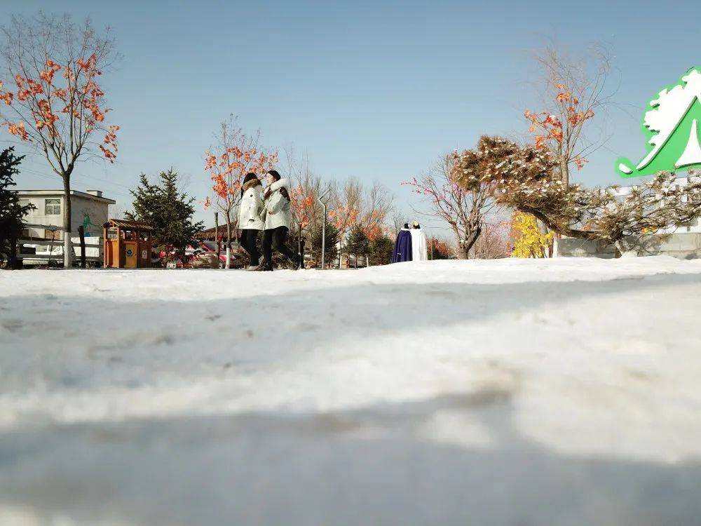 忻州云野小镇冰雪节：村落复兴 全域旅游