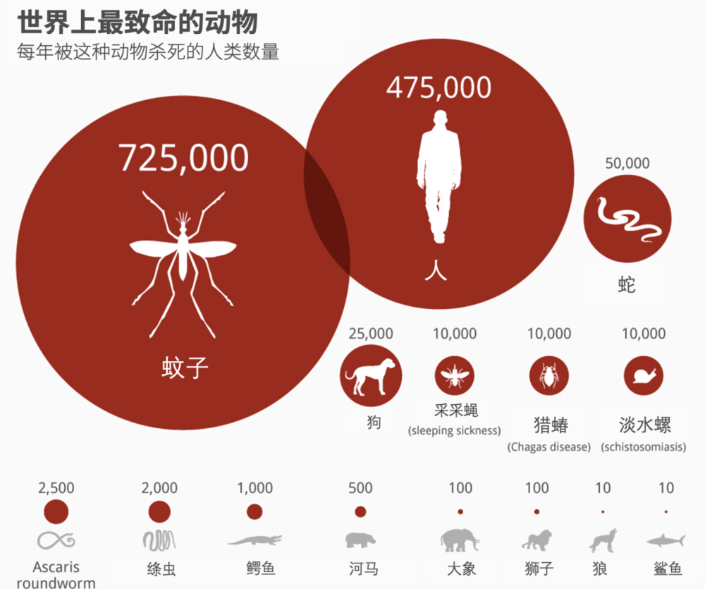 提议全面覆灭蚊子？蚊子在地球上有啥用？假设灭绝，会有何影响？