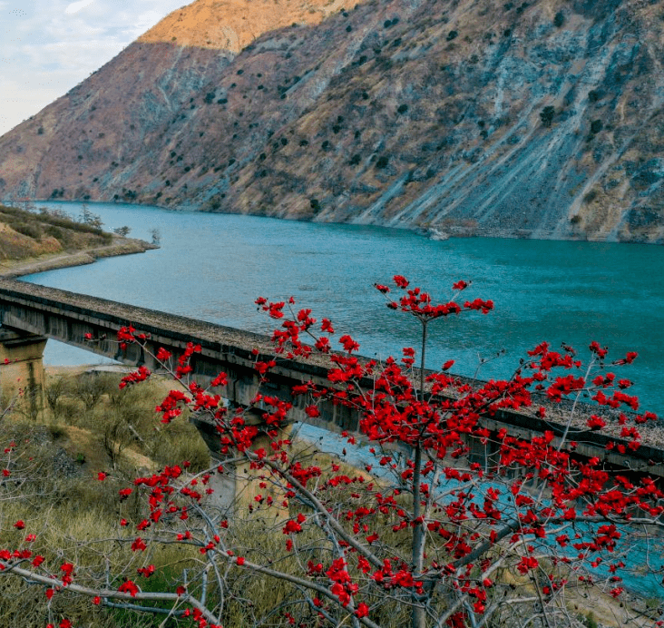 春节期间，65W+旅客涌入仁和 解锁四川最南端温暖之城“火爆”密码