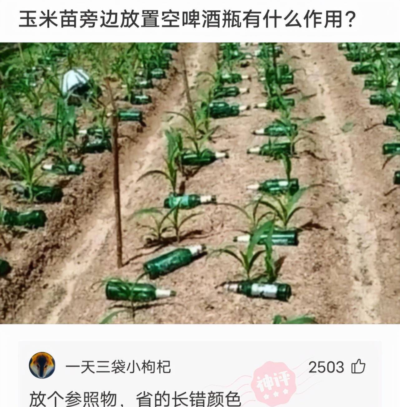 “在爷爷仓库发现的，那至少是个营长吧？”神友：妥妥的师长