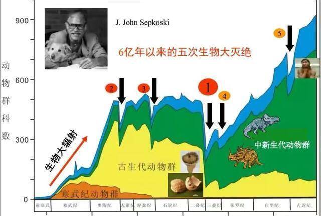 2.34亿年前，一场长达200万年的大雨，让地球进入了恐龙时代