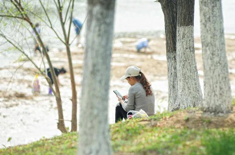 大片！钦州市区那些花海美哭了！你带着她，她带着丝巾