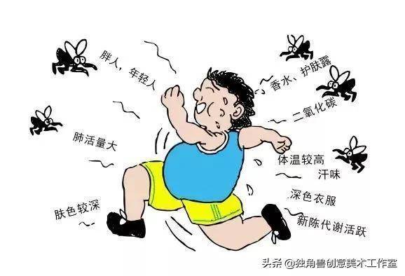 绘画教程 - 驱蚊三剑客