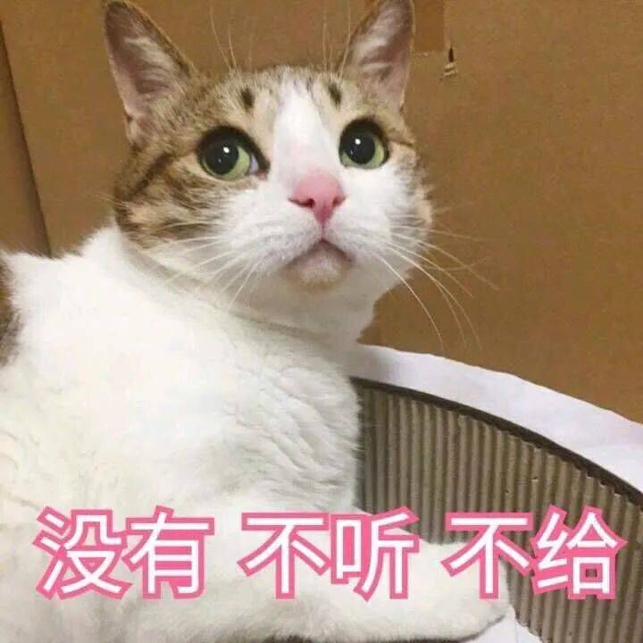 乾隆太会给猫起名字了吧！我只会：咪咪！