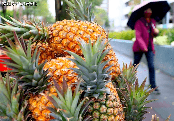 国台办：愿与岛内有关方面通力合作，为恢复台湾农渔产物输入大陆供给帮忙