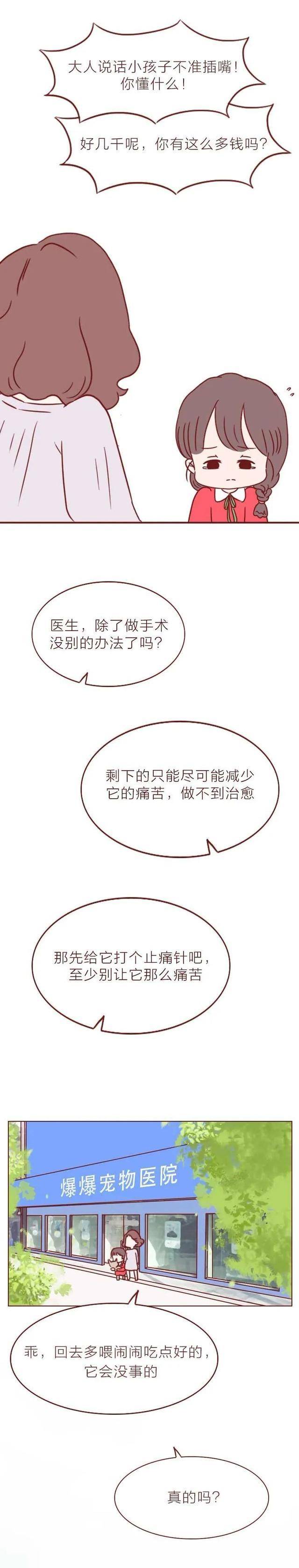 短篇漫画《宠物病院》，看完最初一个故事，你会觉得前两个很挖苦