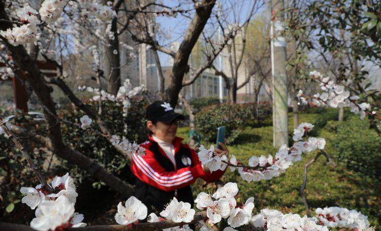 市北花径喊您来打卡！最美赏花道路请您收好