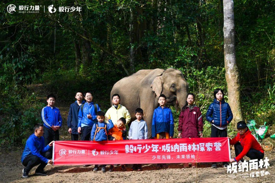 陪你去雨林 | 一群少年摸索家6天5晚西双版纳雨林之旅