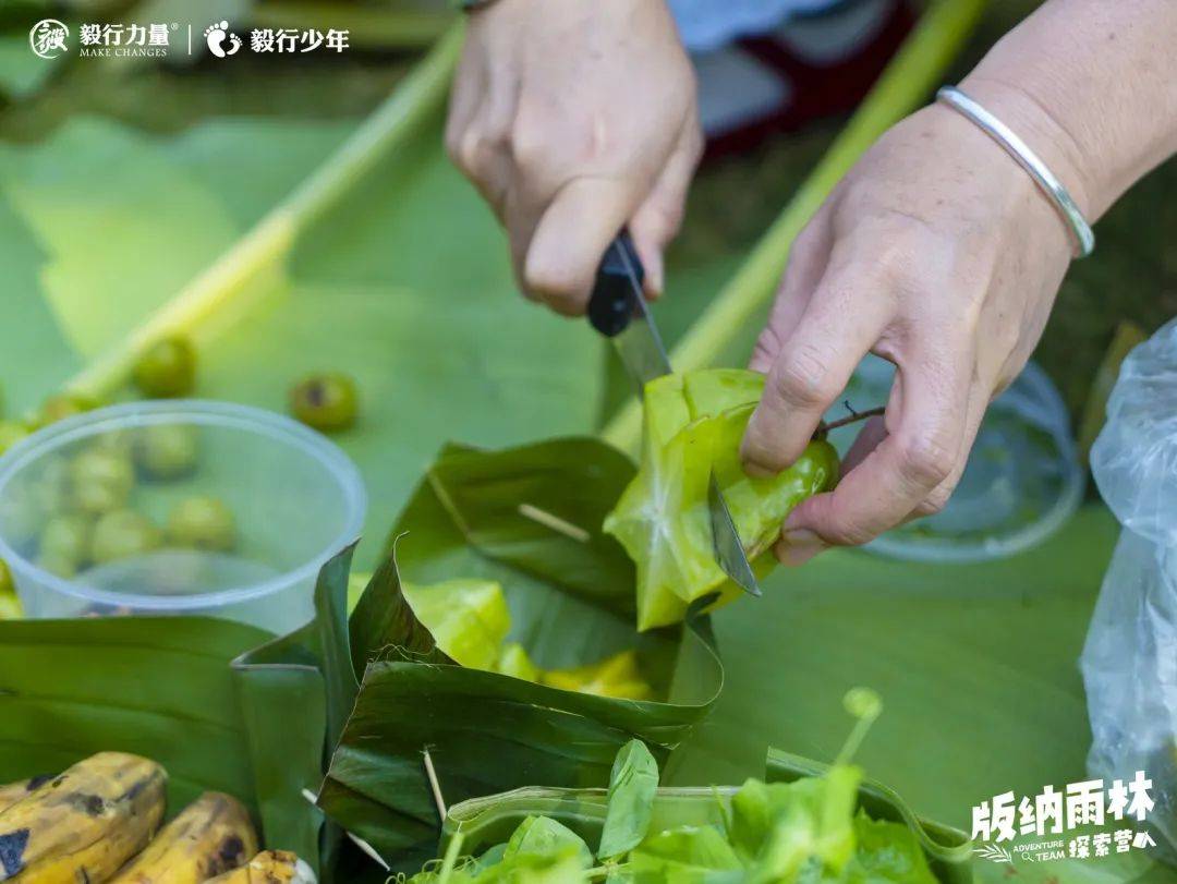 陪你去雨林 | 一群少年摸索家6天5晚西双版纳雨林之旅