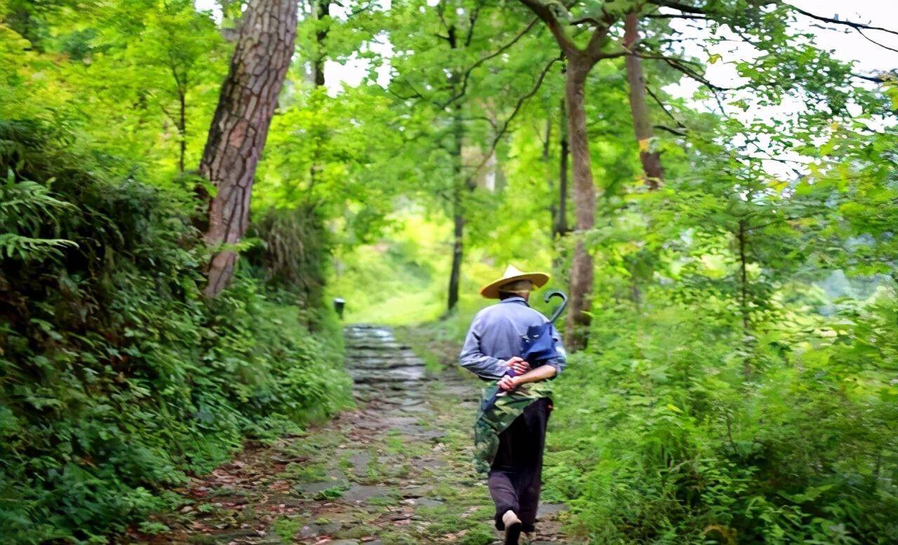 回中古道-关山寻踪‖相约五一小长假一路去徒步露营​