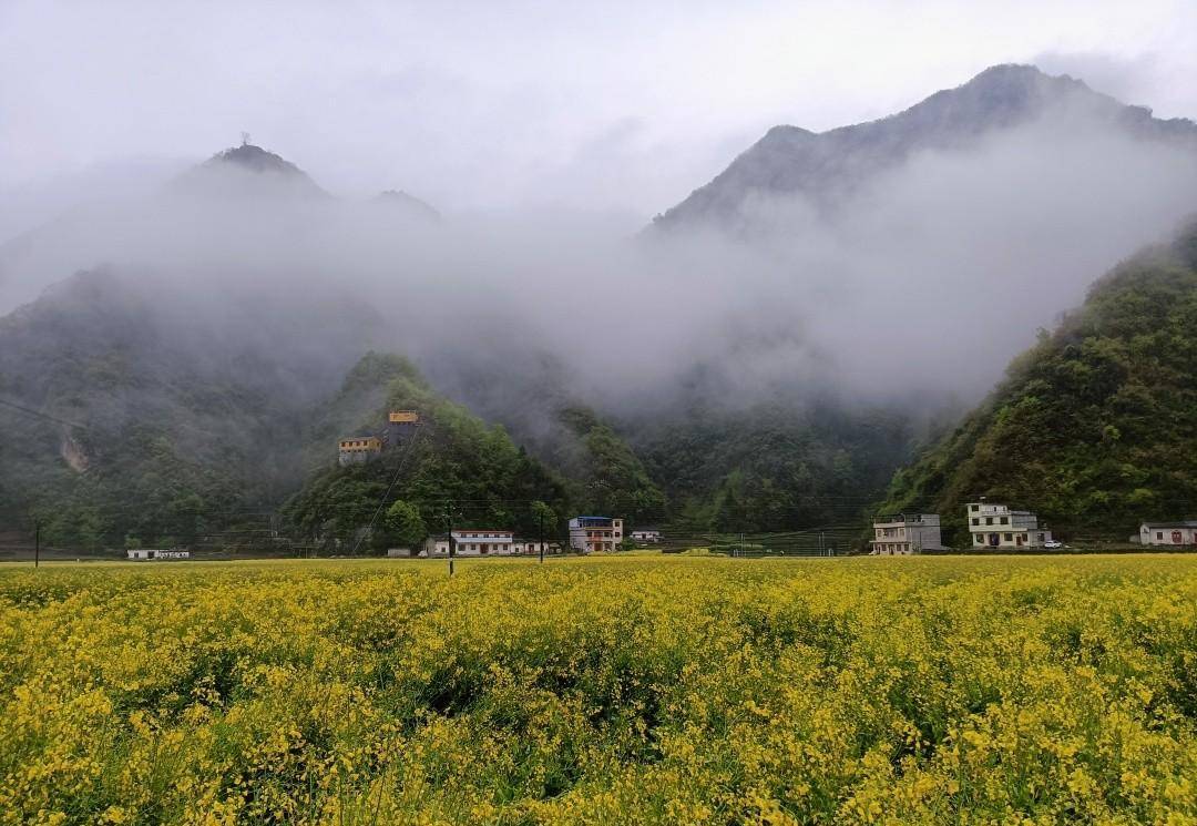 乘坐开往秦岭云烟深处的火车，抵达十里花海村子，仙气飘飘太美了