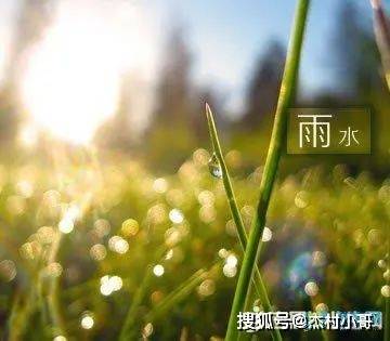 正月十九雨水晨安问候祝愿图片精选 正月十九雨水问候祝愿语简短句子