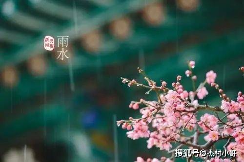 正月十九雨水晨安问候祝愿图片精选 正月十九雨水问候祝愿语简短句子