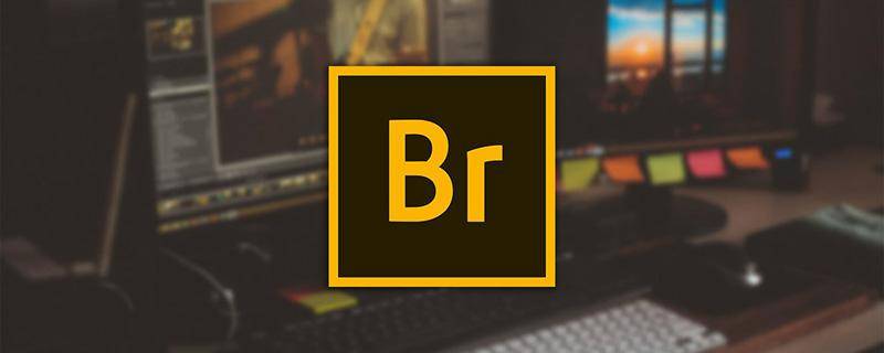 Adobe Bridge(简称BR) 2022 v11.0.11 中文版下载安拆激活教程