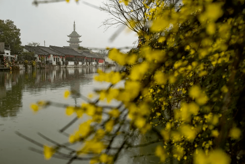 万里云 | 春梦何堪诗与画 一簑烟雨醒江南（诗韵江南春七绝十八首）