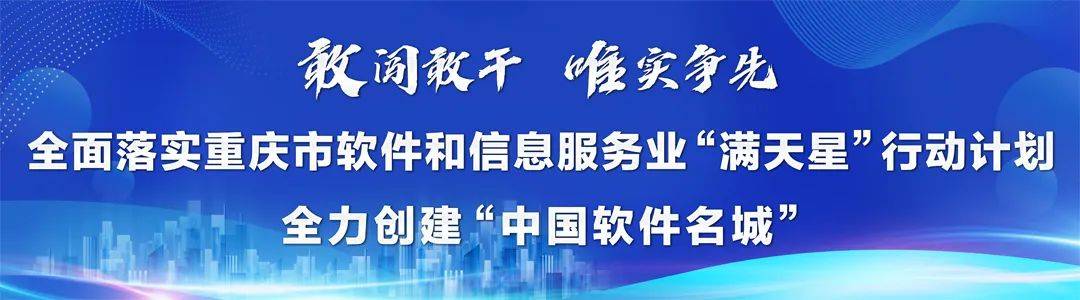 2023年重庆市软件和信息办事业统计工做培训会胜利召开