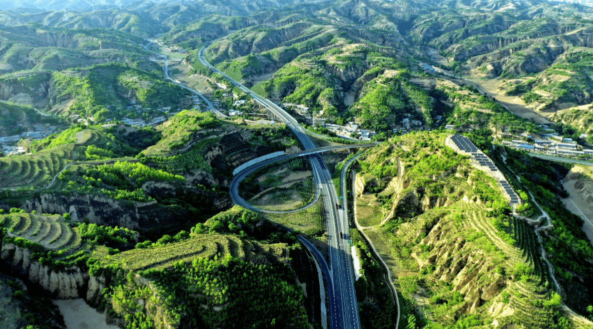 稀有！三只野生华北豹同框，两娃跟从，蹦蹦跳跳，中国生态更好了