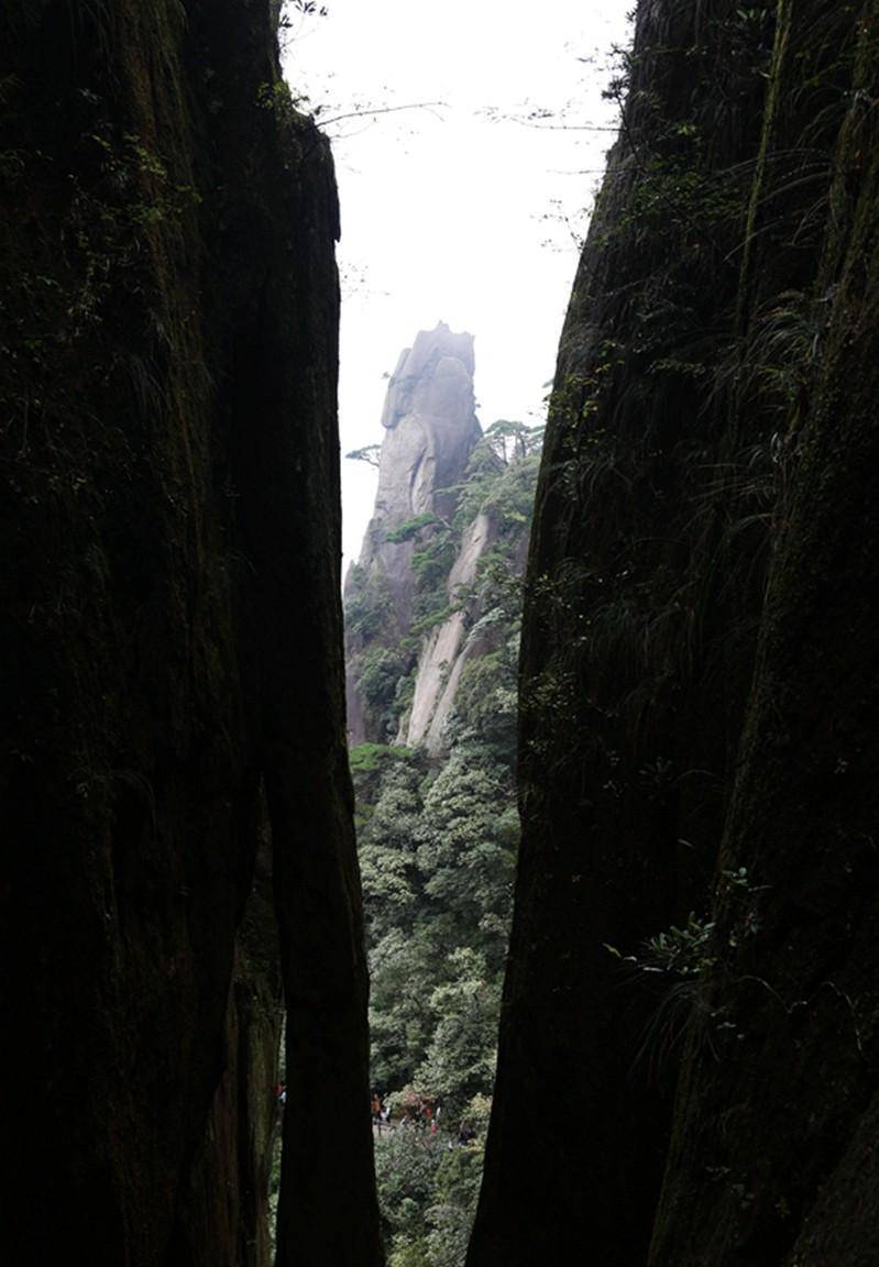 三清山：奇峰怪石、古树名花、流泉飞瀑、云海雾涛