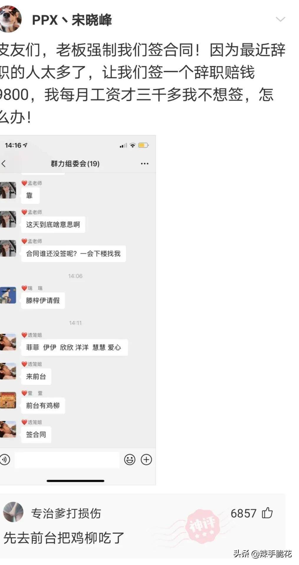 网友：我不领会概率，但我领会酒鬼