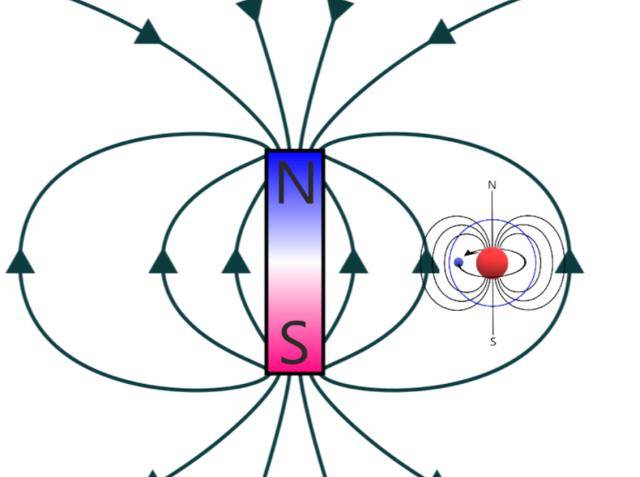 人类处在强磁场中，会发作什么变革，科学家用青蛙完成了那个尝试