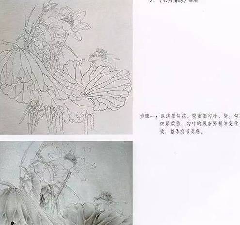 齐派传人、齐良芷门生-画家汤发周趣谈：工笔荷花的整体绘画技法