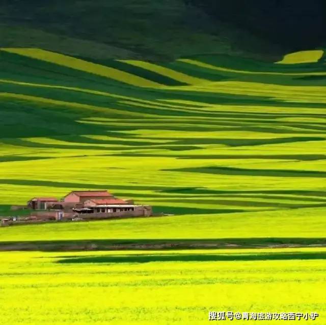 青甘旅游领队西宁小驴【青甘大环线】8天7晚西北之旅