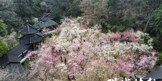 藏在地名里的“花花世界”，浪漫的不是地名是南京呀