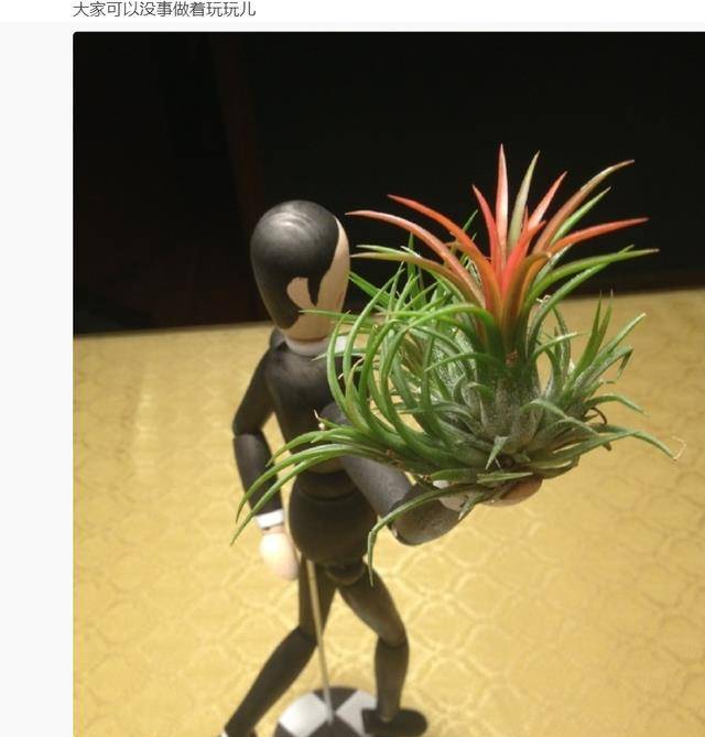 ���١���ɱ���������ˣ�����������������ͨ�˻������