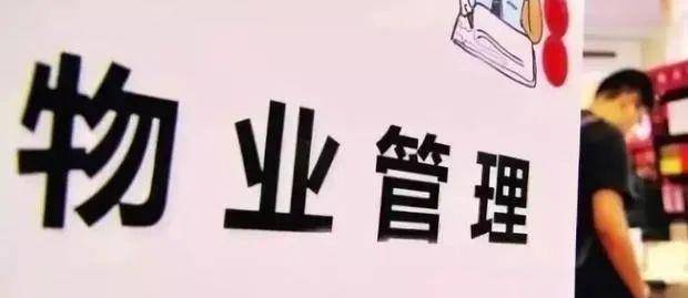 一路领先丨家中被盗、汽车被砸，物业赔吗？