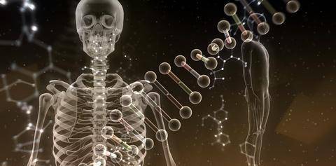 �����������ʬ��Ϊ�λ���ʬ��Ұ������������Ԥı�������� ...