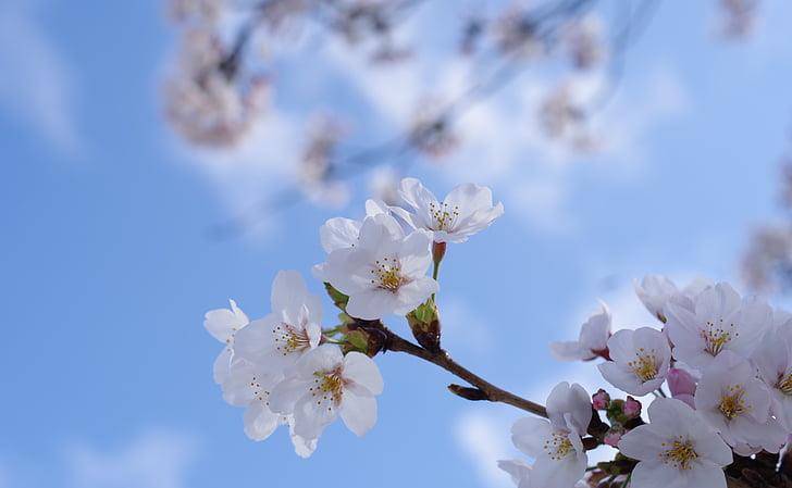 3月11日之后，你将远离“富贵”之地和事业日趋成熟的星座