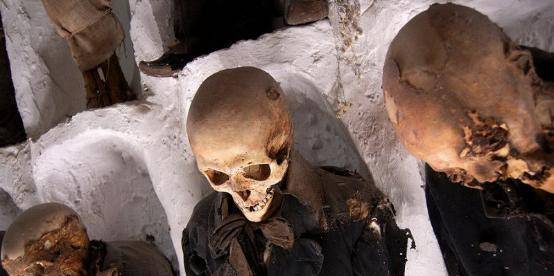 �����������ʬ��Ϊ�λ���ʬ��Ұ������������Ԥı�������� ...