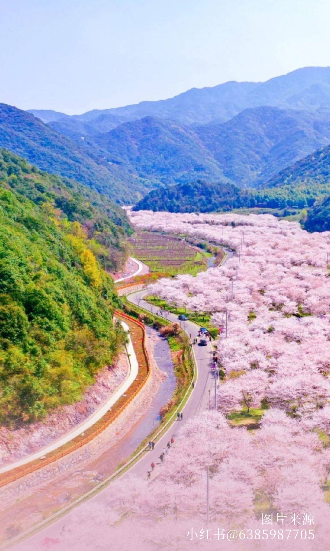 东山大不雅｜春風修禊，大觀探春