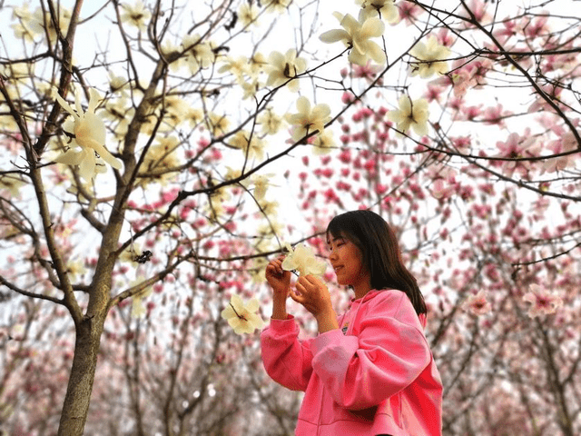 春满怀宁百花开，保藏那份春游怀宁赏花攻略，带你玩转怀宁的春天！