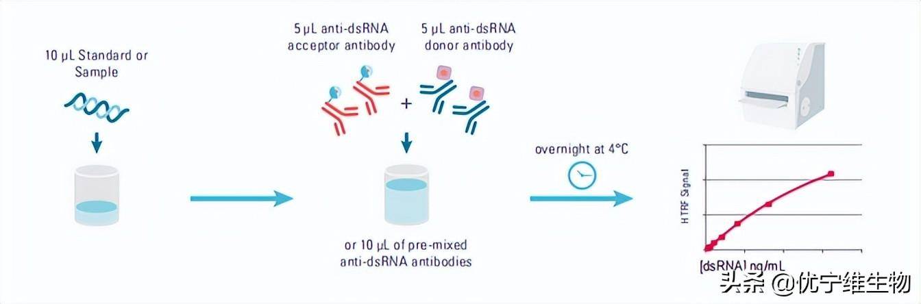 均相技术在mRNA疫苗及药物研发中的应用