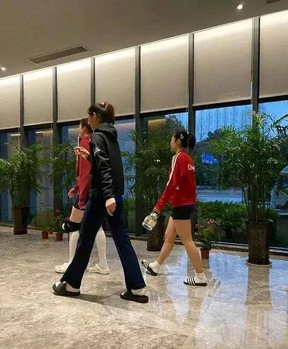 中国女排等待在世界女排联赛，上演王者归来的梦想恐泡汤