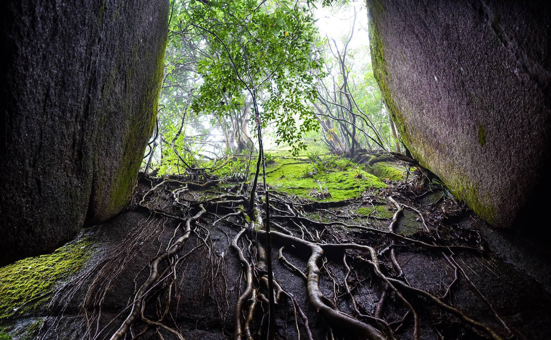 福建更具仙气的一座山，位靠东海是仙人聚会地，有海上仙都之美称