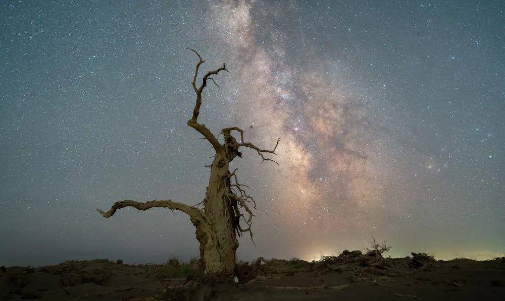 致敬星光女神，那些就是她们摘下的星星