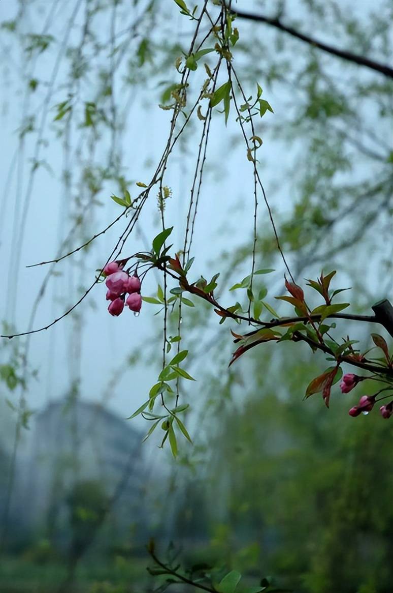 【原创诗词】周嗣远 | 酒至三巡人未醒，梅香桃艳李花馨（诗词十四首）