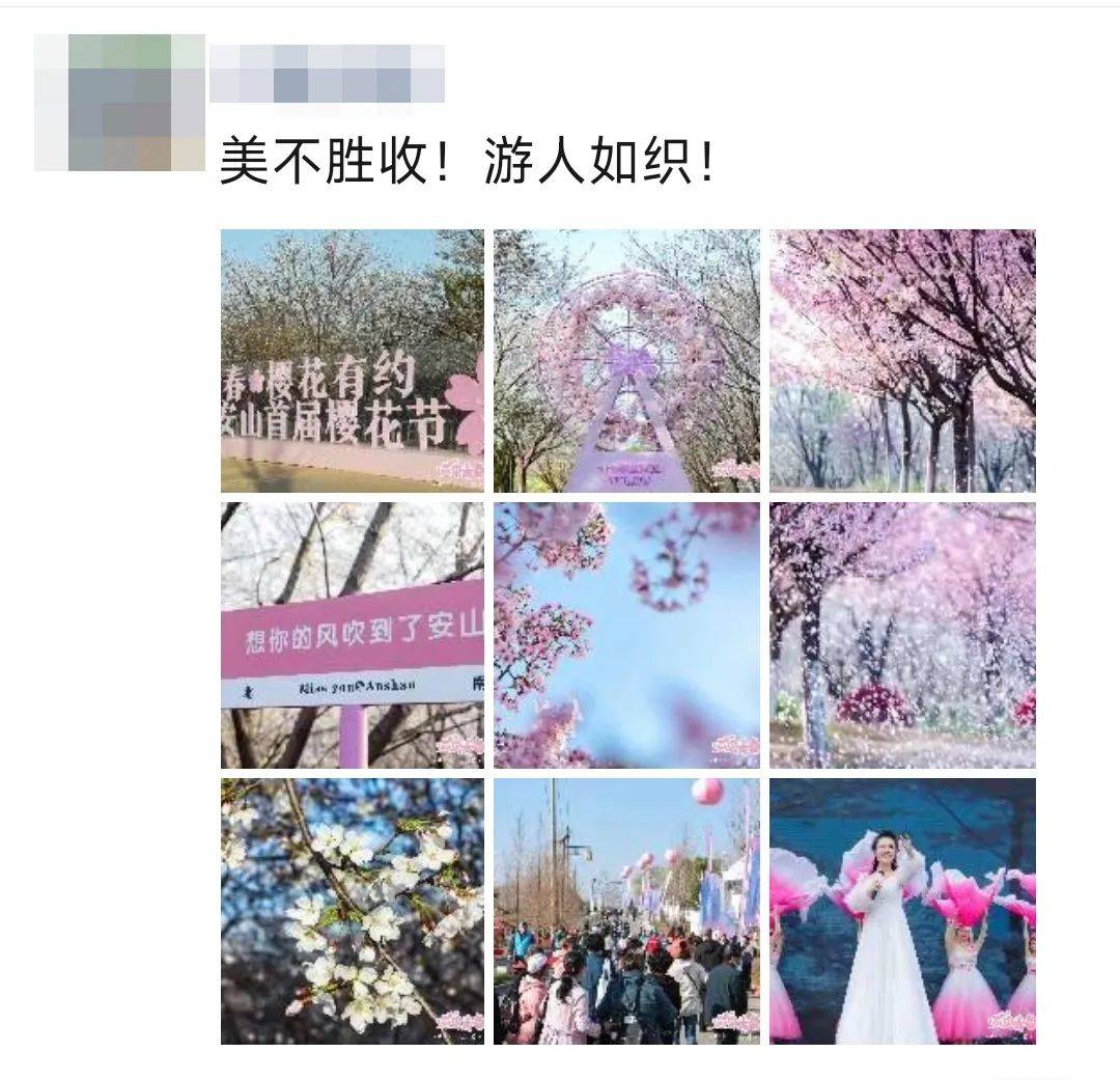 江夏安山的樱花冷艳出圈！网友：好想去！