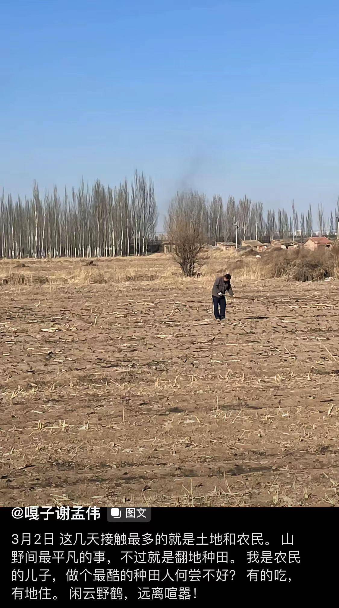 �������������ݳ�Ʒ�������쳤���Ƴ�ģ���з������ũ�� ...