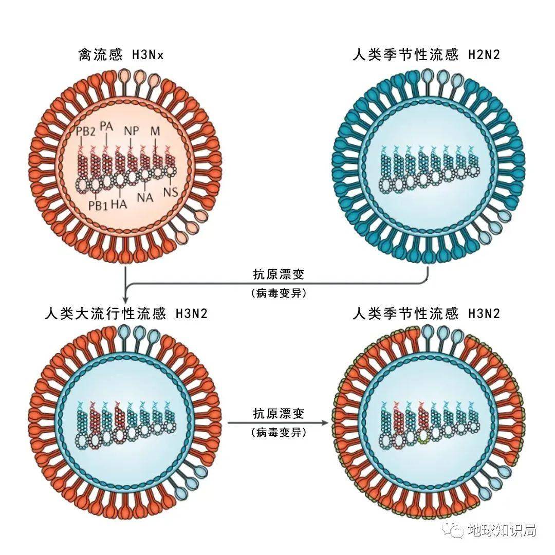 Ϊʲô����Ȧ��ô���ˡ��ס��ˣ�| ����ѧ�ʾ�