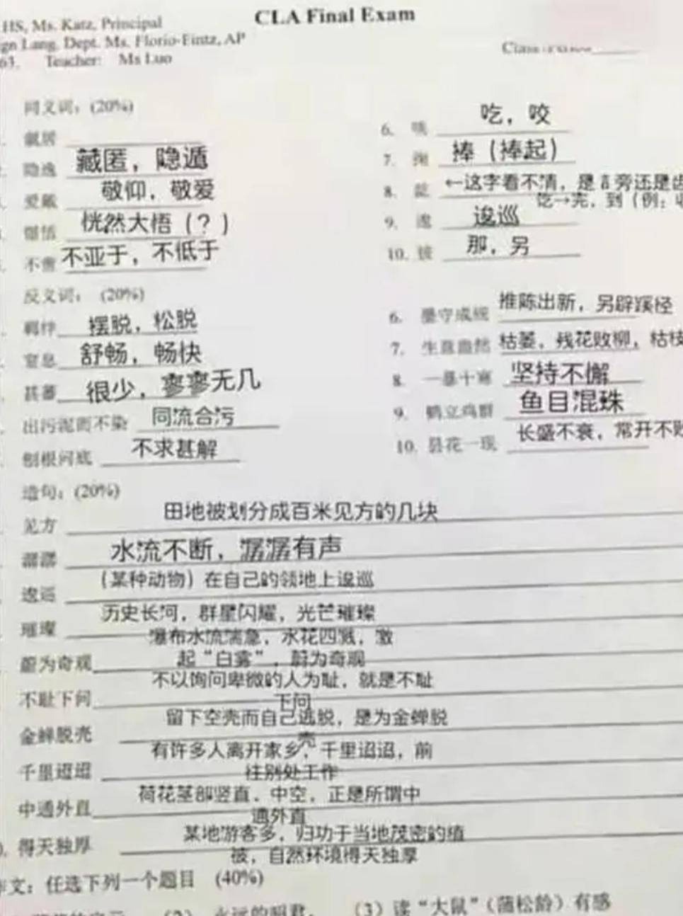 国外高中中文试卷曝光，中国孩子被难倒？网友：大学学了个假中文