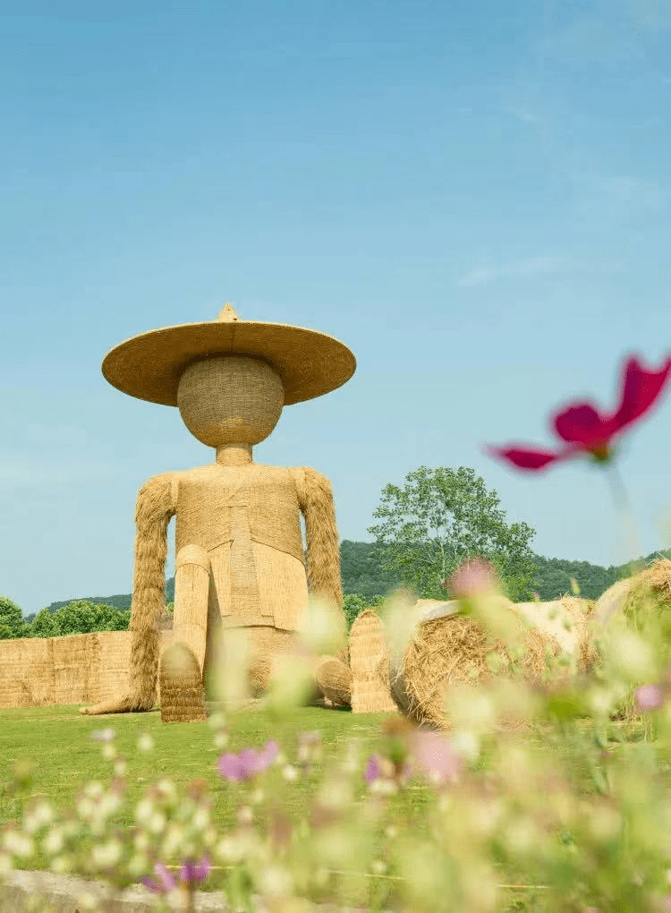 超震撼！济宁迎来花海旅游季·巨型稻草人王国，4月1日起迎客！送门票啦！