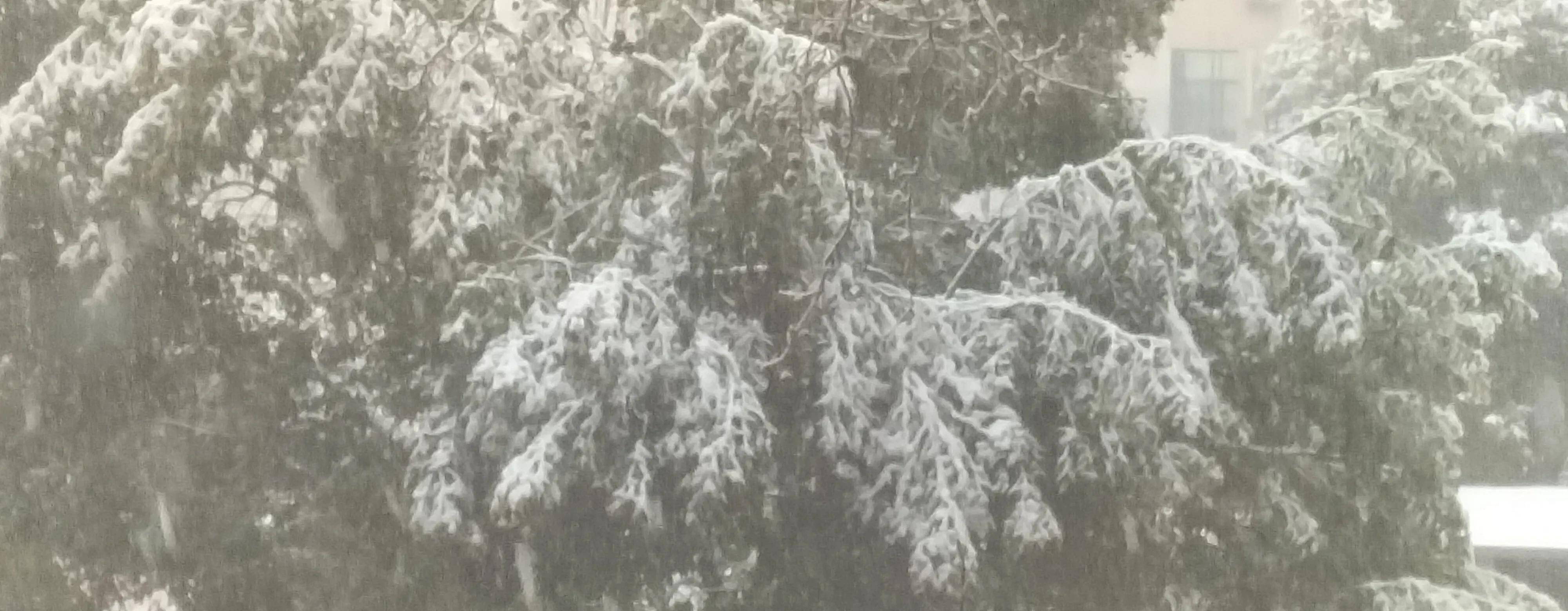 郑州三月“桃花雪“：春天里的冬气候息，城市更热闹，田野不安好